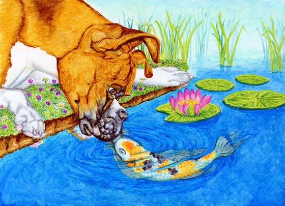 Animals: Schnauzer Birthday