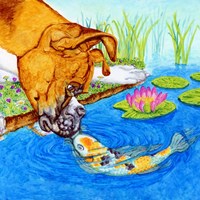 Портфолио Allison Blacker