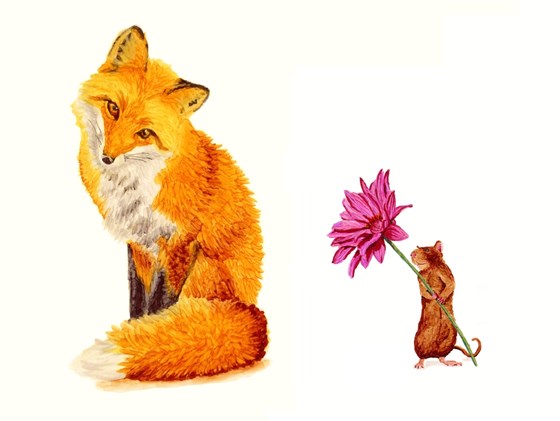 Animals: Schnauzer Birthday